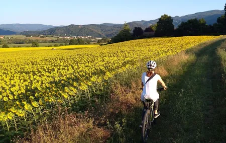 Land of painters - the origins of the Tuscan landscape