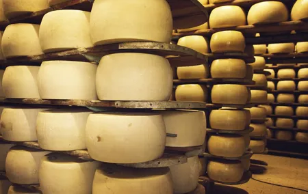 Parmesan Cheese, Parma Ham and Balsamic Vinegar from Florence