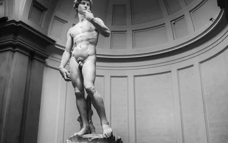 Florence Galleries: Uffizi and Accademia - private tour