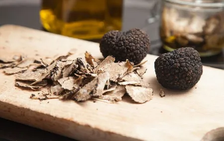 Truffle Search with Lunch or Dinner in Tuscany