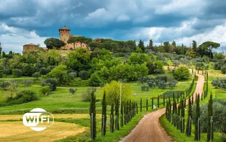 Half Day Escape to Chianti: Taste the Heart of Tuscany