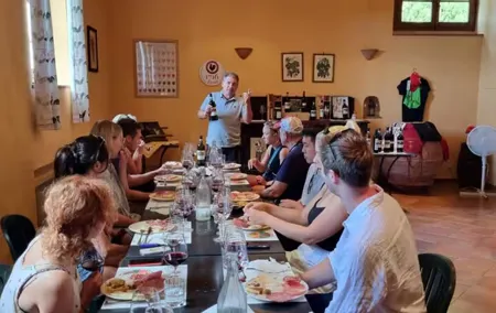 Chianti: Wine Tour & Tasting in Tuscany near San Gimignano