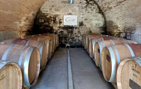 Private Wine Making Experience with Tasting