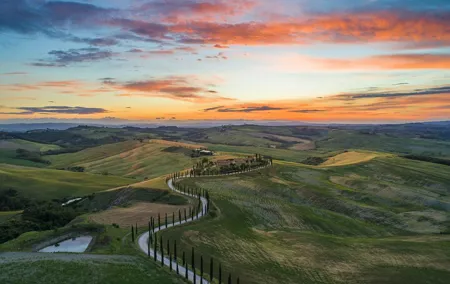 Full-Day Private Tour in San Gimignano Volterra and Bolgheri