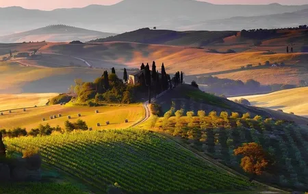 Private Half day Tour in Chianti, San Gimignano with wine tasting