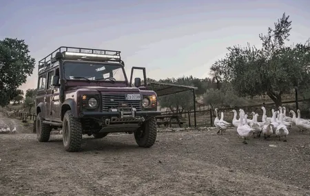 Night safari and aperitif near Florence