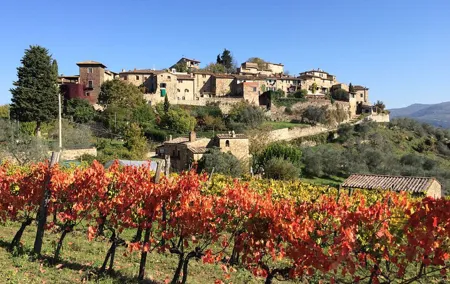 Private Siena, S. Gimignano, Chianti Road and Wine Tasting