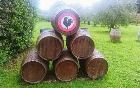 Chianti Classico "Black Rooster" and "Super Tuscan" Wine Tour