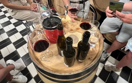 Private Biodynamic Wines with lunch in Chianti Classico