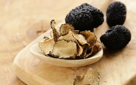 Tuscan Walk and Hunt for Truffles