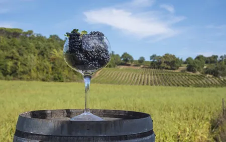 Exclusive Tuscan Pinot Noir, Land of Medici Family