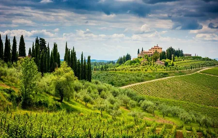 Full-Day Private Chianti Classico Wine Tour from Florence