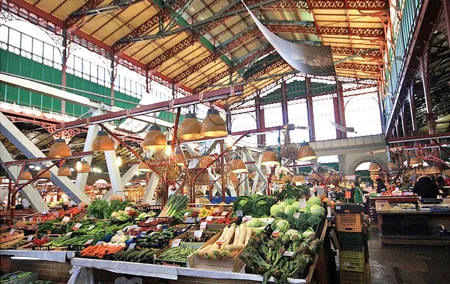 Full Day Florence Food Tour with Wine Tasting & Guided Visit of City Highlights