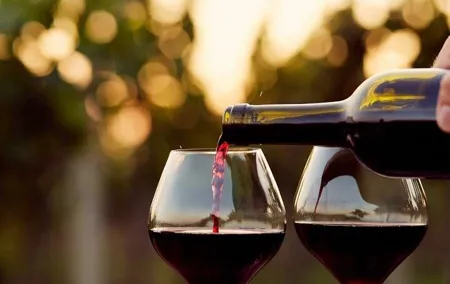 Brunello Uncorked: Discover Tuscany’s Iconic Red