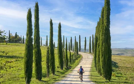 Asciano and Crete Senesi PRIVATE E-Bike Tour + Pick Up & Drop Off