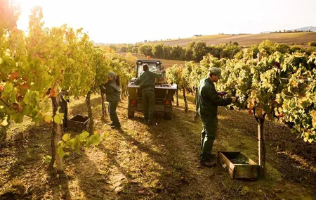 Exclusive Assisi & Sagrantino di Montefalco Wines from Florence
