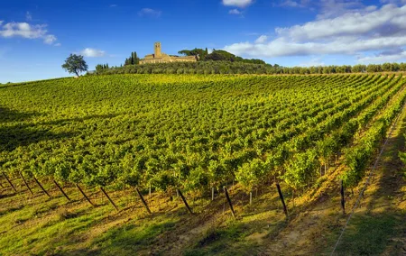 Tuscany Wine Tour from Florence