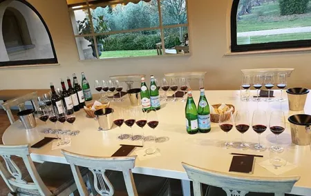 Private Excursion from Florence to Ornellaia Wine Estate