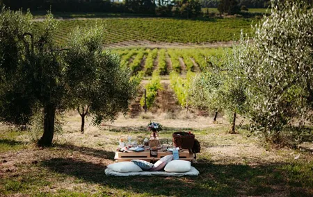 Luxury Picnic Experience in Tuscany