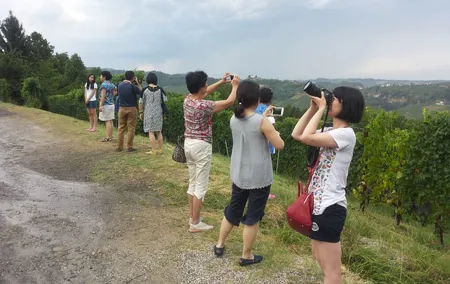 Siena Monteriggioni San Gimignano with Lunch&WineTasting Fullday from Florence