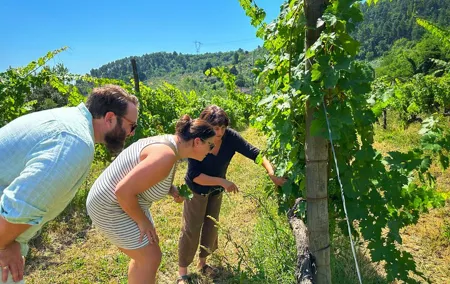Carmignano Wine Tour with a Somm Small Group