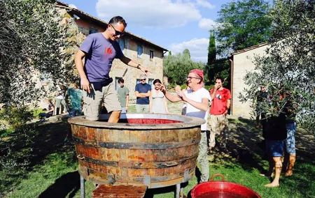 Discover Organic and Biodynamic Chianti Small Wineries