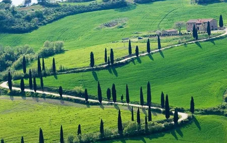Chianti Hills Tour:Discovering Tuscany's Wine Heart from Florence