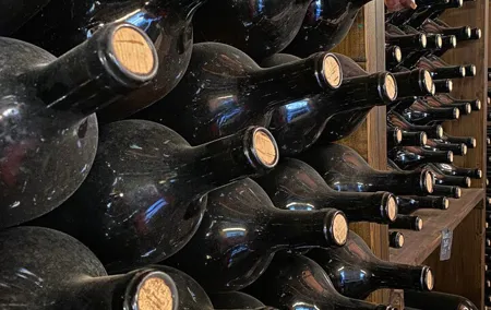 Fun wine tasting from our unique selection in the heart of Florence