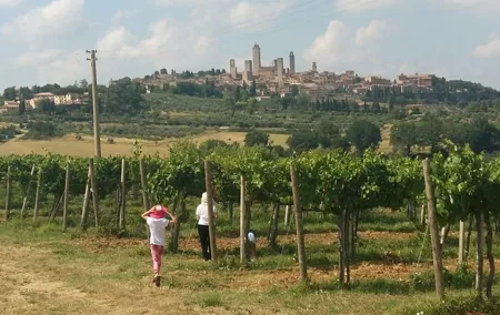 San Gimignano Monteriggioni Tuscany Chianti Wine Tasting Fullday from Florence