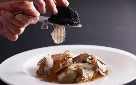 Private Tour: Truffle Hunting Experience with Lunch