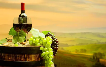 DeepWine Half Day 2 Wineries & Lunch or Dinner in Tuscan Hills
