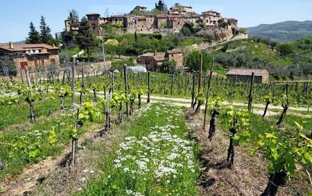 Tour of Chianti for small groups departing from Florence or surroundings