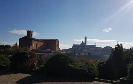 Private transfer Florence Peretola Airport from or to Siena City