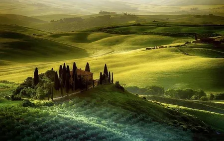 Day trip from Florence: Deluxe Wine Tasting Tour in Montalcino - private tour