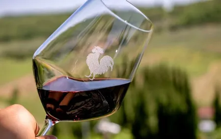 Day Tour from Florence with lunch and wine-tasting in Chianti