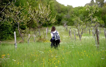 Trek the Apennines mountains to the ghost village