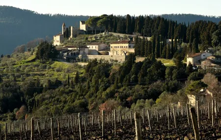 Frescobaldi Wine Lovers' Experience