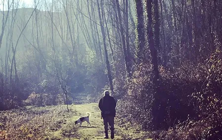 Truffle Hunting with optional Pisa or Certaldo from Florence