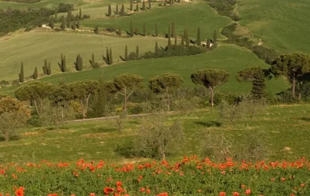 From Florence to Tuscany Winerys