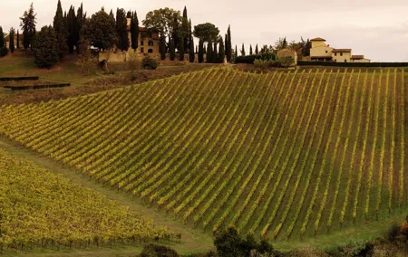 Montalcino and Pienza Tuscany Wine&Cheese Fullday from Florence