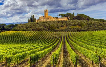 From Florence: Siena and Chianti WineTour with Lunch