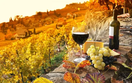 Montepulciano and Pienza Tuscany Wine&Cheese Fullday from Florence
