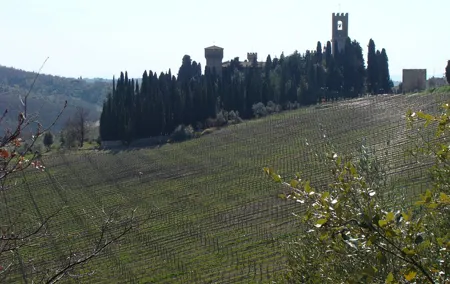 Florence Day Trip to Chianti and San Gimignano