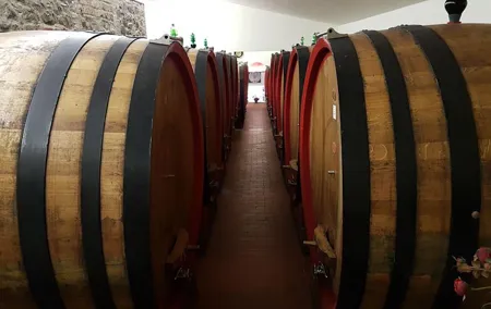 Degustazione di vini a Montepulciano, visitando Siena, in Toscana da Firenze