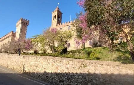 From Florence to Bolgheri Private Tour by Minivan