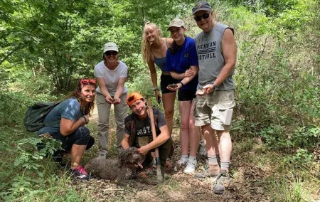 Truffle hunt in Chianti with cooking class and sunset dinner