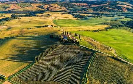 Proposals and Romantic Experiences in Tuscany
