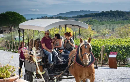 Exclusive Suvereto tour from Florence: Land of Elisa Bonaparte