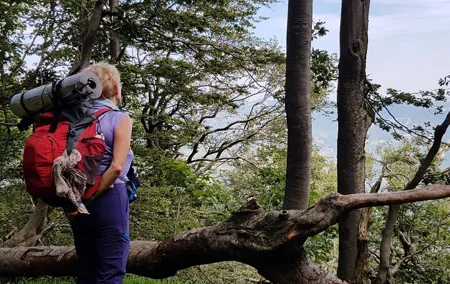 Full-Day Private Hike in Foreste Casentinesi National Park