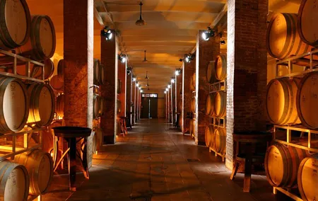 Cellar Wine Tour